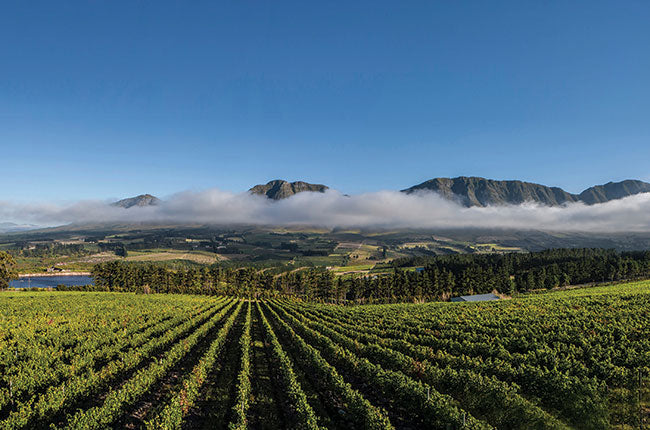 Heaven and earth Storm Wines recognized Ridge