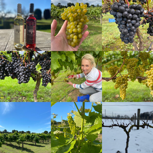 St Albans Wine? Cellar Door Wines