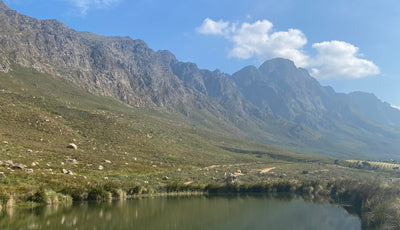 Western Cape Winelands  - Where to visit?
